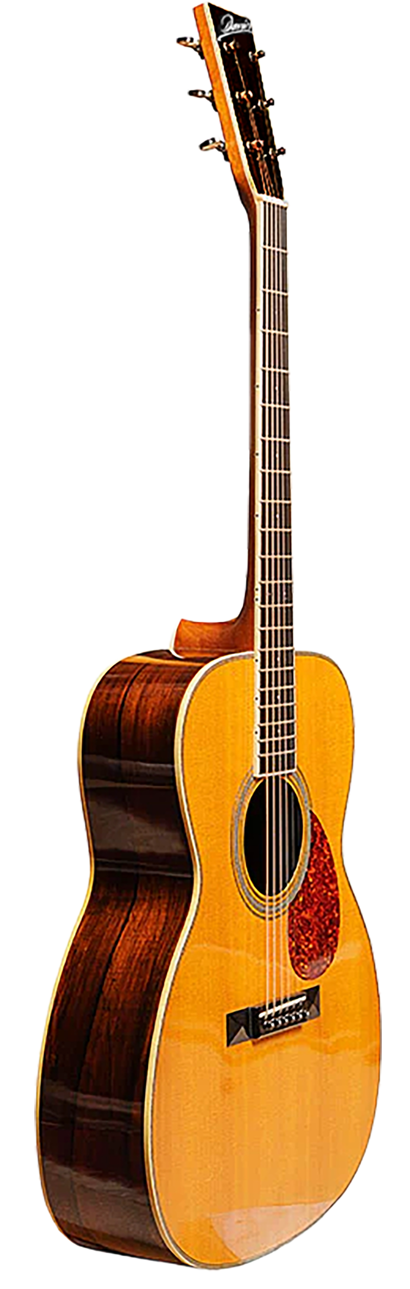 John renbourn davies guitar